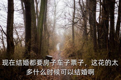 現(xiàn)在結(jié)婚都要房子車子票子，這花的太多什么時(shí)候可以結(jié)婚啊