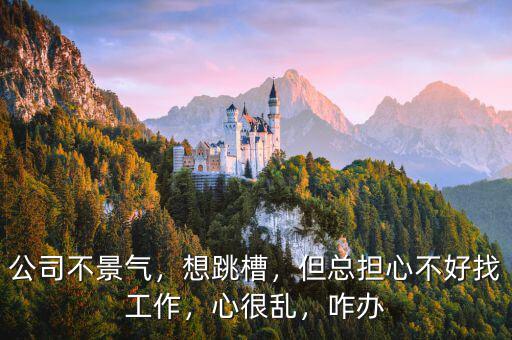 公司不景氣，想跳槽，但總擔(dān)心不好找工作，心很亂，咋辦