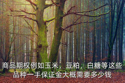 商品期權(quán)例如玉米，豆粕，白糖等這些品種一手保證金大概需要多少錢