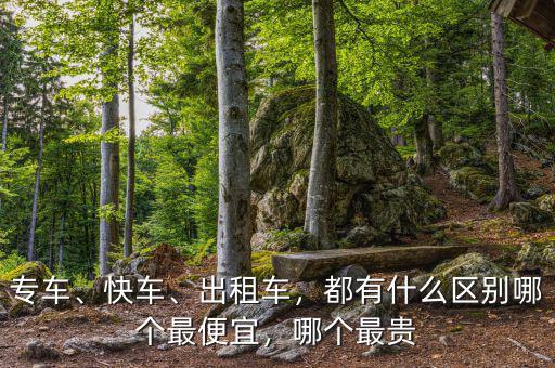 專車、快車、出租車，都有什么區(qū)別哪個(gè)最便宜，哪個(gè)最貴