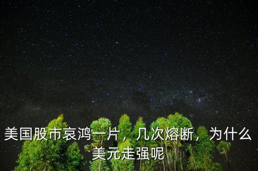 美國(guó)股市哀鴻一片，幾次熔斷，為什么美元走強(qiáng)呢