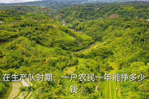 在生產(chǎn)隊時期，一戶農(nóng)民一年能掙多少錢