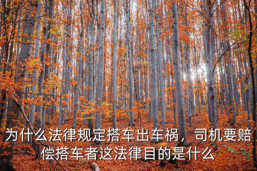 為什么法律規(guī)定搭車出車禍，司機要賠償搭車者這法律目的是什么
