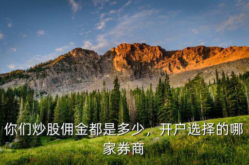 你們炒股傭金都是多少，開戶選擇的哪家券商