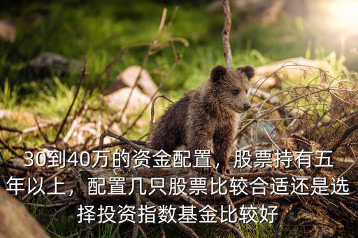 30到40萬的資金配置，股票持有五年以上，配置幾只股票比較合適還是選擇投資指數(shù)基金比較好