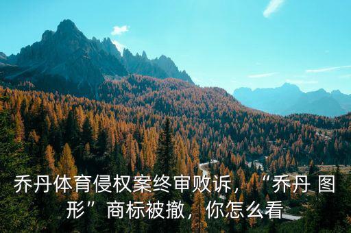 喬丹體育侵權(quán)案終審敗訴，“喬丹 圖形”商標(biāo)被撤，你怎么看