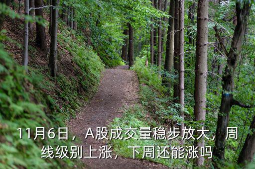 11月6日，A股成交量穩(wěn)步放大，周線級別上漲，下周還能漲嗎