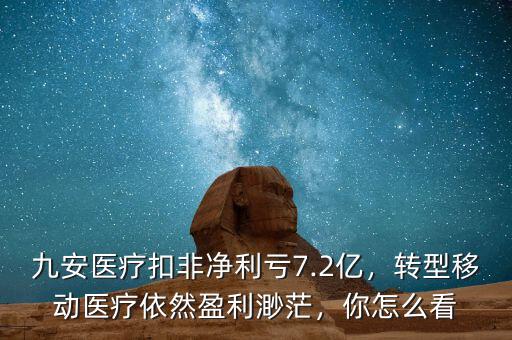 九安醫(yī)療扣非凈利虧7.2億，轉(zhuǎn)型移動(dòng)醫(yī)療依然盈利渺茫，你怎么看