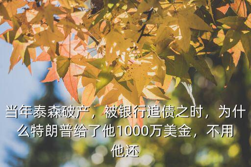 當(dāng)年泰森破產(chǎn)，被銀行追債之時(shí)，為什么特朗普給了他1000萬美金，不用他還