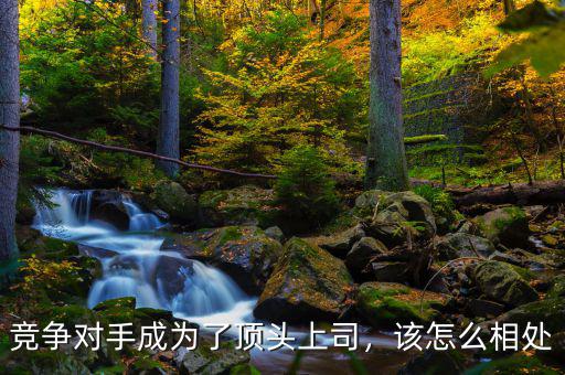 競爭對手成為了頂頭上司，該怎么相處