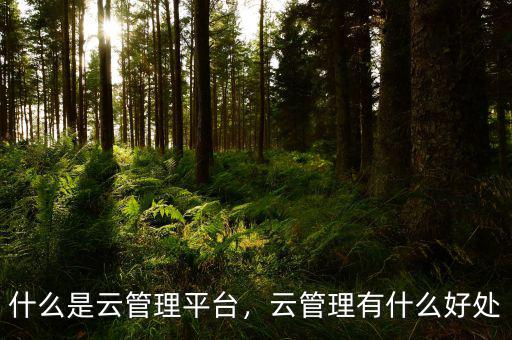 什么是云管理平臺(tái)，云管理有什么好處