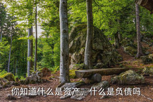 你知道什么是資產(chǎn)，什么是負(fù)債嗎