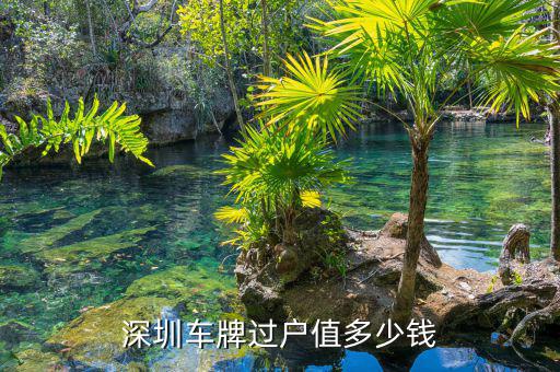深圳惠程值多少錢,放到現在值多少錢