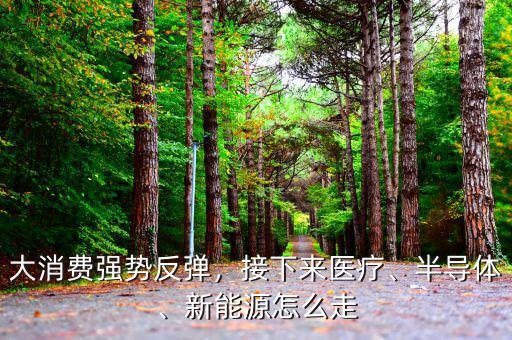 大消費強勢反彈，接下來醫(yī)療、半導體、新能源怎么走