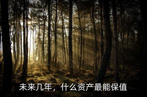 未來(lái)幾年，什么資產(chǎn)最能保值