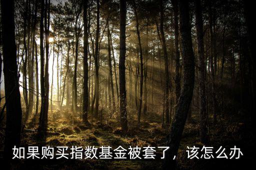 如果購(gòu)買(mǎi)指數(shù)基金被套了，該怎么辦
