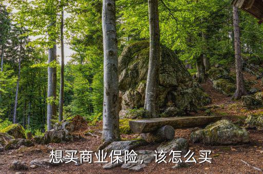 想買商業(yè)保險，該怎么買