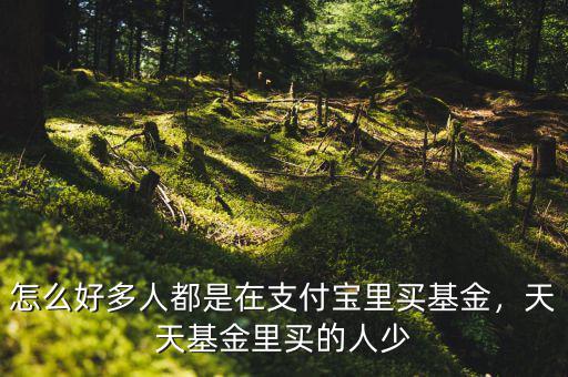 怎么好多人都是在支付寶里買基金，天天基金里買的人少