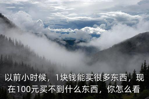 以前小時候，1塊錢能買很多東西，現(xiàn)在100元買不到什么東西，你怎么看