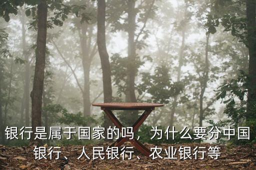 銀行是屬于國家的嗎，為什么要分中國銀行、人民銀行、農(nóng)業(yè)銀行等
