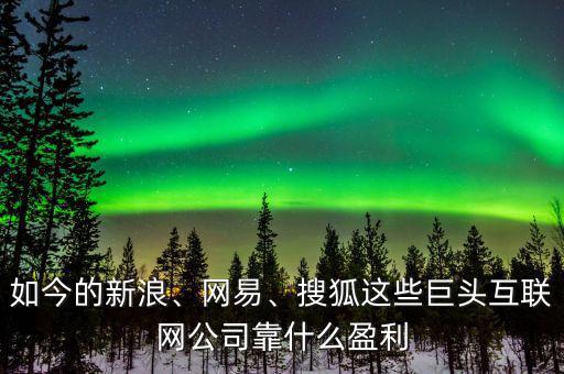 如今的新浪、網(wǎng)易、搜狐這些巨頭互聯(lián)網(wǎng)公司靠什么盈利