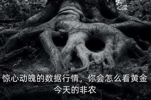 驚心動(dòng)魄的數(shù)據(jù)行情，你會(huì)怎么看黃金今天的非農(nóng)