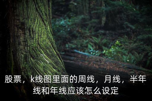 股票，k線圖里面的周線，月線，半年線和年線應(yīng)該怎么設(shè)定