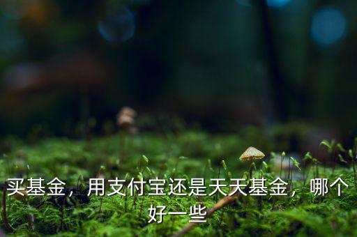 買(mǎi)基金，用支付寶還是天天基金，哪個(gè)好一些