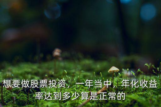 想要做股票投資，一年當(dāng)中，年化收益率達(dá)到多少算是正常的