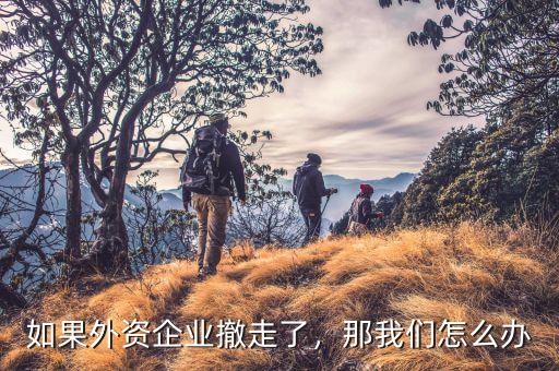如果外資企業(yè)撤走了，那我們怎么辦