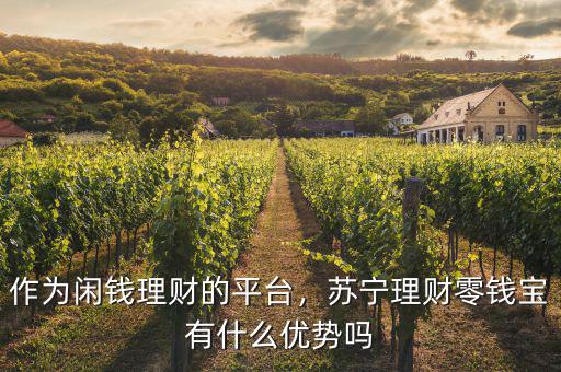 作為閑錢(qián)理財(cái)?shù)钠脚_(tái)，蘇寧理財(cái)零錢(qián)寶有什么優(yōu)勢(shì)嗎