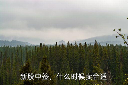 新股中簽，什么時候賣合適