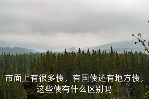 市面上有很多債，有國債還有地方債，這些債有什么區(qū)別嗎