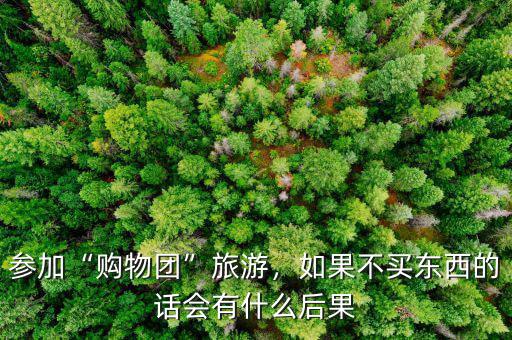 參加“購物團”旅游，如果不買東西的話會有什么后果