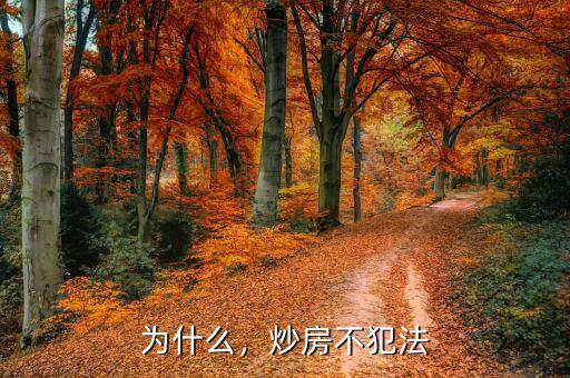 為什么，炒房不犯法