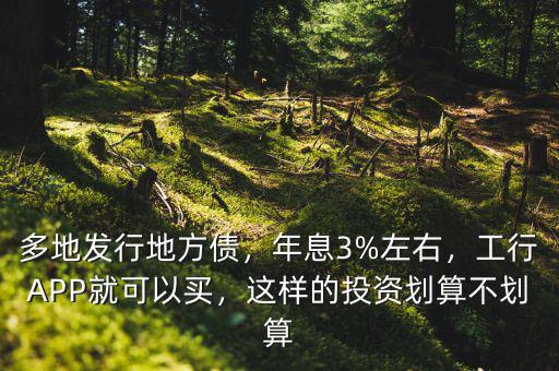多地發(fā)行地方債，年息3%左右，工行APP就可以買，這樣的投資劃算不劃算