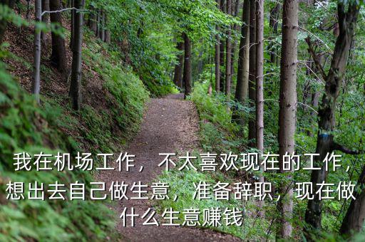 我在機(jī)場(chǎng)工作，不太喜歡現(xiàn)在的工作，想出去自己做生意，準(zhǔn)備辭職，現(xiàn)在做什么生意賺錢