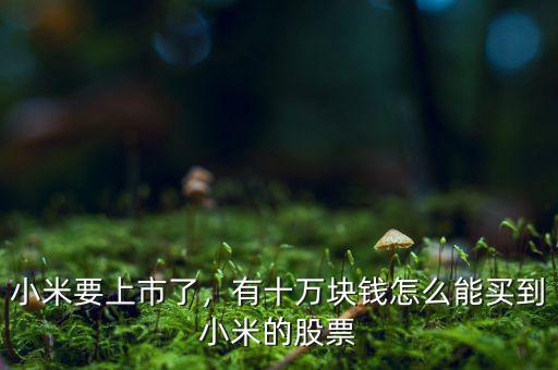 小米要上市了，有十萬(wàn)塊錢怎么能買到小米的股票