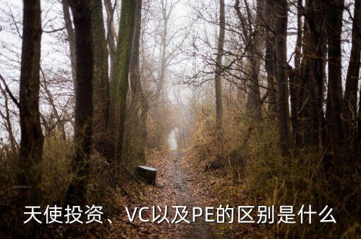 天使投資、VC以及PE的區(qū)別是什么