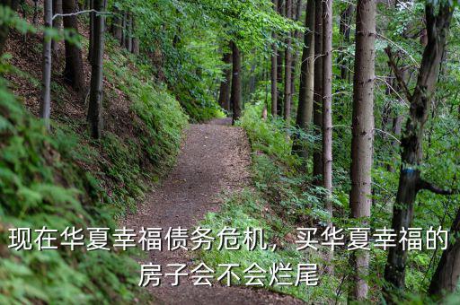 現(xiàn)在華夏幸福債務(wù)危機(jī)，買華夏幸福的房子會(huì)不會(huì)爛尾