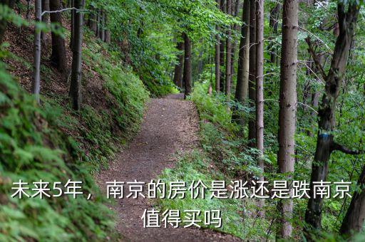 未來5年，南京的房價是漲還是跌南京值得買嗎