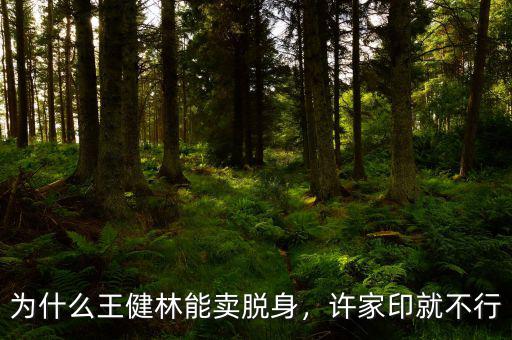 為什么王健林能賣脫身，許家印就不行