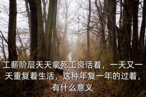 工薪階層天天拿死工資活著，一天又一天重復(fù)著生活，這種年復(fù)一年的過著，有什么意義