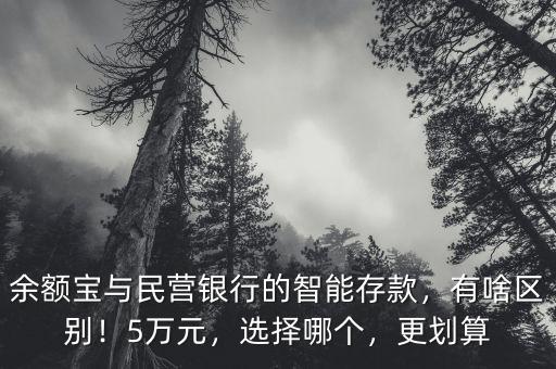 余額寶與民營銀行的智能存款，有啥區(qū)別！5萬元，選擇哪個(gè)，更劃算