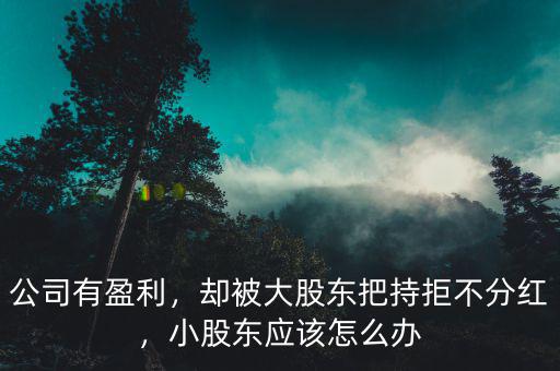 公司有盈利，卻被大股東把持拒不分紅，小股東應(yīng)該怎么辦