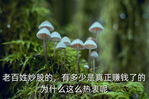 老百姓炒股的，有多少是真正賺錢了的為什么這么熱衷呢