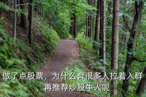 做了點(diǎn)股票，為什么有很多人拉著入群，再推薦炒股牛人呢