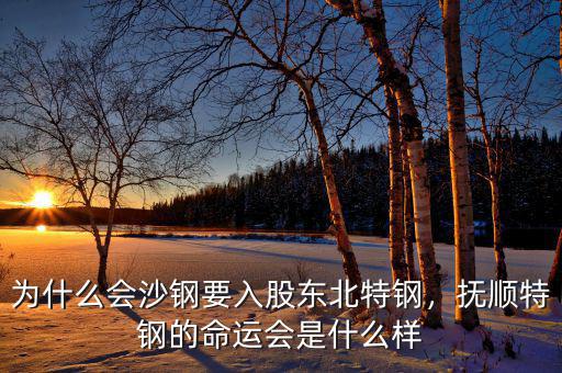 為什么會沙鋼要入股東北特鋼，撫順特鋼的命運會是什么樣