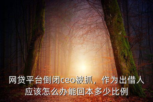 網(wǎng)貸平臺倒閉ceo被抓，作為出借人應該怎么辦能回本多少比例