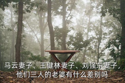 王健林老婆什么星座,他們三人的老婆有什么差別嗎
